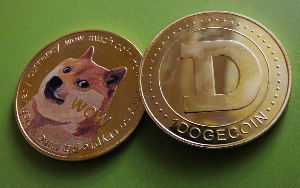  Dogecoin Falls :"Dogecoin logo, a stylized image of a Shiba Inu dog with the word 'Dogecoin' written in bold letters."