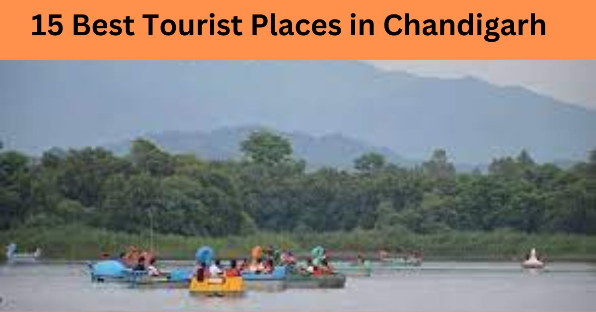 15 Best Tourist Places in Chandigarh