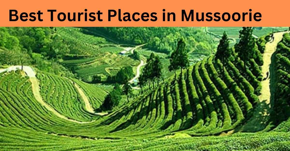 Best Tourist Places in Mussoorie nice